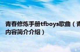 青春修炼手册tfboys歌曲（青春修炼手册 TFBOYS迷你专辑相关内容简介介绍）