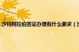 沙特阿拉伯签证办理有什么要求（沙特阿拉伯商务签证相关内容简介介绍）