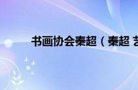 书画协会秦超（秦超 艺术家相关内容简介介绍）