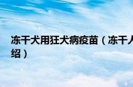 冻干犬用狂犬病疫苗（冻干人用狂犬病纯化疫苗相关内容简介介绍）