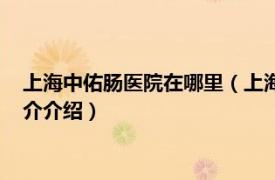 上海中佑肠医院在哪里（上海中佑肛肠医院有限公司相关内容简介介绍）