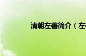 清朝左善简介（左善相关内容简介介绍）