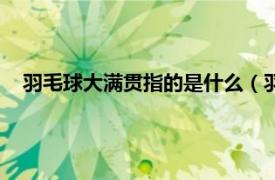 羽毛球大满贯指的是什么（羽毛球全满贯相关内容简介介绍）