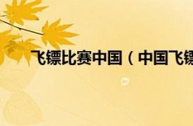 飞镖比赛中国（中国飞镖公开赛相关内容简介介绍）