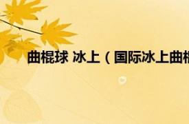 曲棍球 冰上（国际冰上曲棍球联合会相关内容简介介绍）