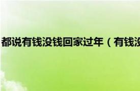 都说有钱没钱回家过年（有钱没钱都回家过年相关内容简介介绍）