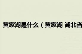 黄家湖是什么（黄家湖 湖北省武汉市黄家湖相关内容简介介绍）