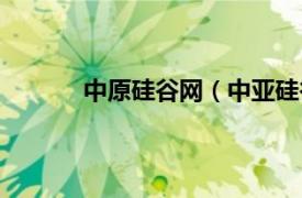 中原硅谷网（中亚硅谷网相关内容简介介绍）