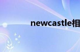 newcastle相关内容简介介绍