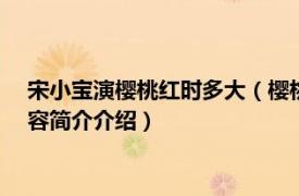 宋小宝演樱桃红时多大（樱桃 2012年宋小宝主演电视剧相关内容简介介绍）