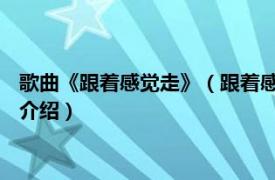 歌曲《跟着感觉走》（跟着感觉走 李玲玉演唱歌曲相关内容简介介绍）