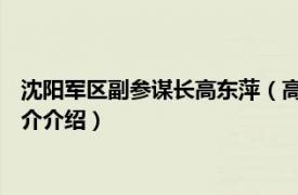 沈阳军区副参谋长高东萍（高克 沈阳军区原副司令员相关内容简介介绍）