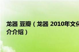 龙器 豆瓣（龙器 2010年文化艺术出版社出版的图书相关内容简介介绍）