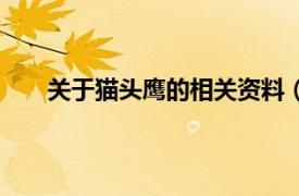 关于猫头鹰的相关资料（鹰头鸟相关内容简介介绍）