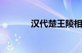 汉代楚王陵相关内容简介介绍