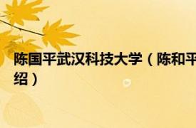 陈国平武汉科技大学（陈和平 武汉科技大学教授相关内容简介介绍）