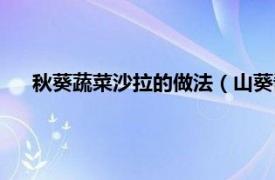 秋葵蔬菜沙拉的做法（山葵酱鸡肉沙拉相关内容简介介绍）