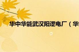 华中华能武汉阳逻电厂（华能阳逻电厂相关内容简介介绍）