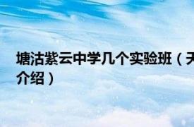 塘沽紫云中学几个实验班（天津市塘沽区紫云中学相关内容简介介绍）