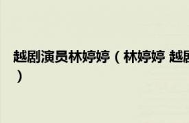 越剧演员林婷婷（林婷婷 越剧王派名家林婷婷相关内容简介介绍）