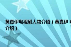 黄真伊电视剧人物介绍（黄真伊 电视剧《黄真伊》中的角色相关内容简介介绍）