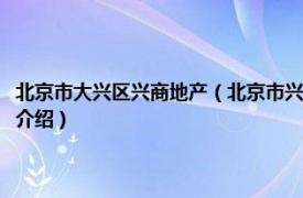 北京市大兴区兴商地产（北京市兴商房地产经纪中心有限公司相关内容简介介绍）