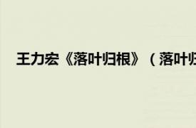 王力宏《落叶归根》（落叶归根：王力宏相关内容简介介绍）