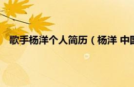 歌手杨洋个人简历（杨洋 中国大陆男歌手相关内容简介介绍）