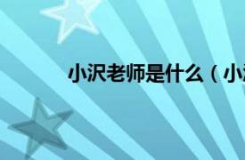 小沢老师是什么（小沢剛相关内容简介介绍）