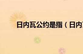 日内瓦公约是指（日内瓦公约相关内容简介介绍）