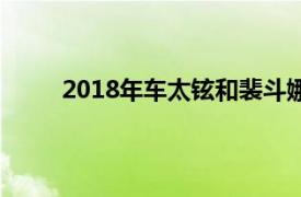 2018年车太铉和裴斗娜主演的《完美离婚》韩剧