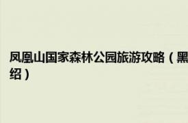 凤凰山国家森林公园旅游攻略（黑龙江凤凰山国家森林公园相关内容简介介绍）