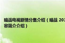 暗战电视剧情分集介绍（暗战 2015年邢键钧、栗心博执导的电视剧相关内容简介介绍）