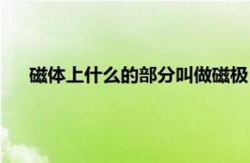 磁体上什么的部分叫做磁极（单极磁体相关内容简介介绍）