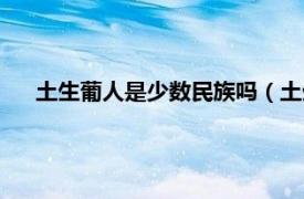 土生葡人是少数民族吗（土生葡人民系相关内容简介介绍）