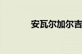 安瓦尔加尔吉亚相关内容介绍