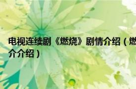 电视连续剧《燃烧》剧情介绍（燃烧 2015年吴斌执导的电视剧相关内容简介介绍）