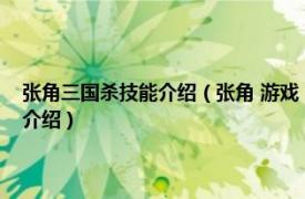 张角三国杀技能介绍（张角 游戏《三国杀英雄传》中的英雄相关内容简介介绍）