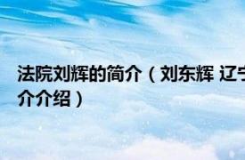 法院刘辉的简介（刘东辉 辽宁省高级人民法院审判员相关内容简介介绍）