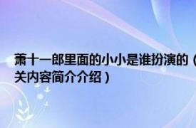 萧十一郎里面的小小是谁扮演的（小公子 电视剧《新萧十一郎》中角色相关内容简介介绍）