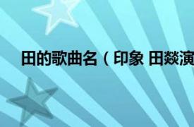 田的歌曲名（印象 田燚演唱的歌曲相关内容简介介绍）