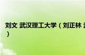 刘文 武汉理工大学（刘正林 武汉理工大学教授相关内容简介介绍）