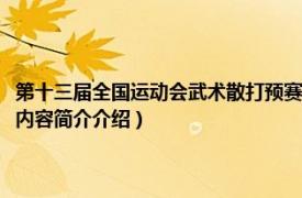 第十三届全国运动会武术散打预赛（第十二届全国运动会武术散打比赛相关内容简介介绍）