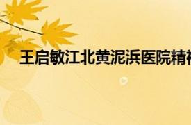 王启敏江北黄泥浜医院精神卫生从业人员相关内容简介