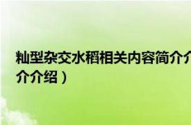 籼型杂交水稻相关内容简介介绍视频（籼型杂交水稻相关内容简介介绍）