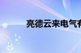 亮德云来电气有限公司总裁简介