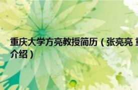 重庆大学方亮教授简历（张亮亮 重庆大学土木工程学院教授相关内容简介介绍）