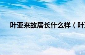 叶亚来故居长什么样（叶亚来故居相关内容简介介绍）