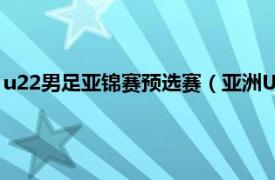 u22男足亚锦赛预选赛（亚洲U22男足锦标赛相关内容简介介绍）