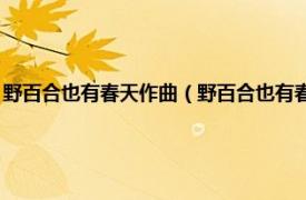 野百合也有春天作曲（野百合也有春天 永邦演唱的歌曲相关内容简介介绍）